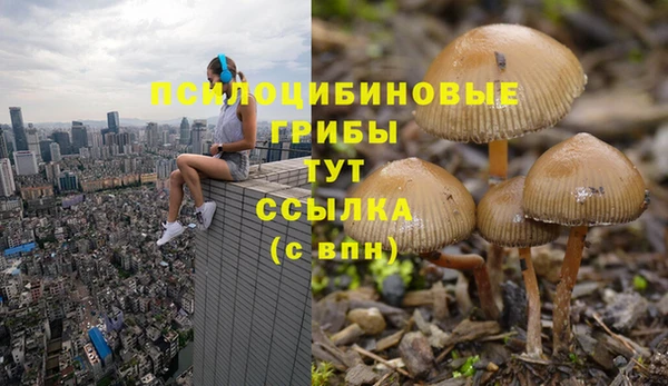 ГАЛЛЮЦИНОГЕННЫЕ ГРИБЫ Волосово